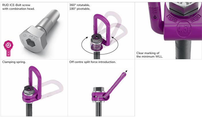 VLBG Plus in detail