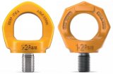 Fall Protection Anchorage Points