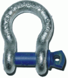 Alloy Screw Pin Anchor Shackle