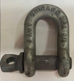 5/8" Screw Pin Chain Shackle