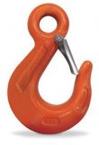 Eye Sling Hook w/ Latch (CM)