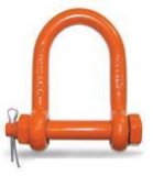 Long Reach Shackle Painted Bolt Type