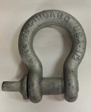 1/2" Screw Pin Anchor Shackle