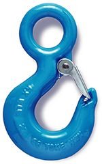 Alloy Eye Hoist Hook w/ Latch