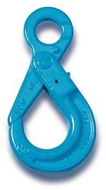 Grade 100 Eye Self Locking Hook