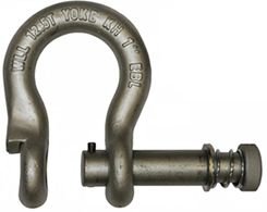 Twist Lock Shackle