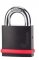 High Security Padlock NE12LE1 Grade 5, 12mm